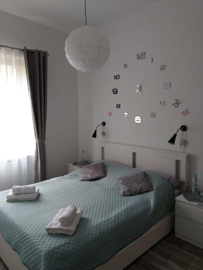Przedzamcze Apartament *
