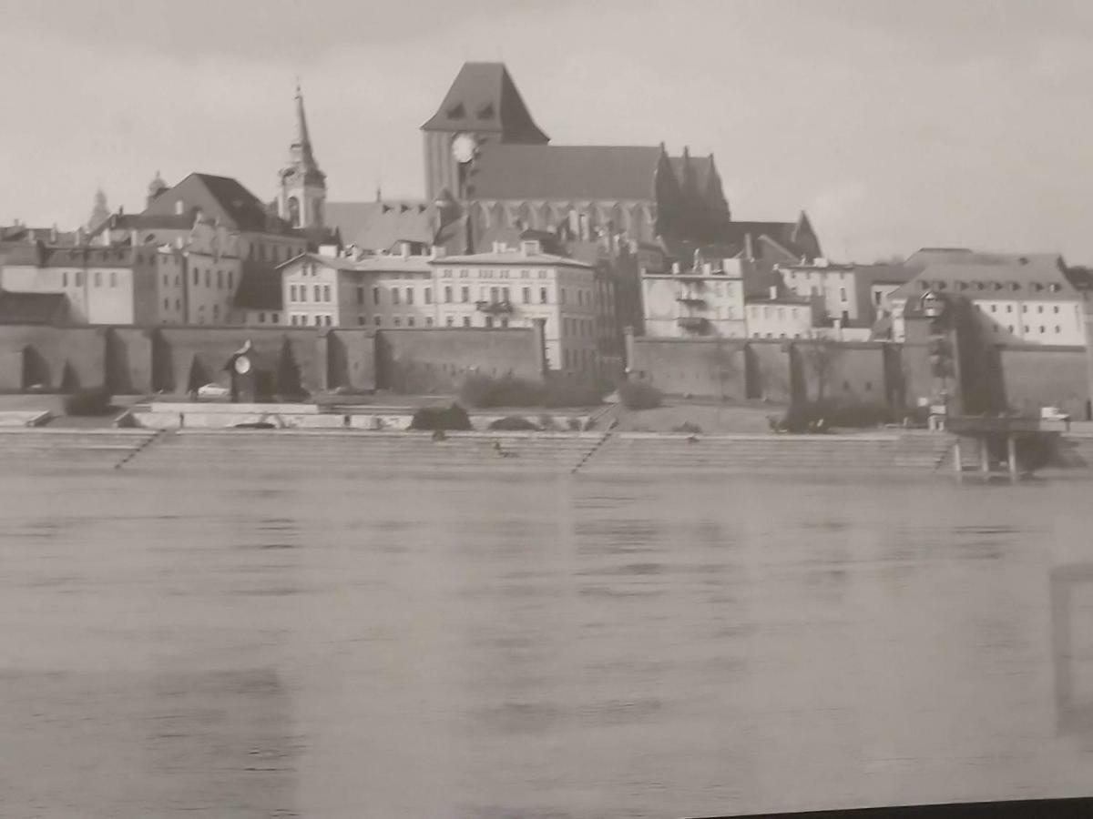 Przedzamcze Apartament *